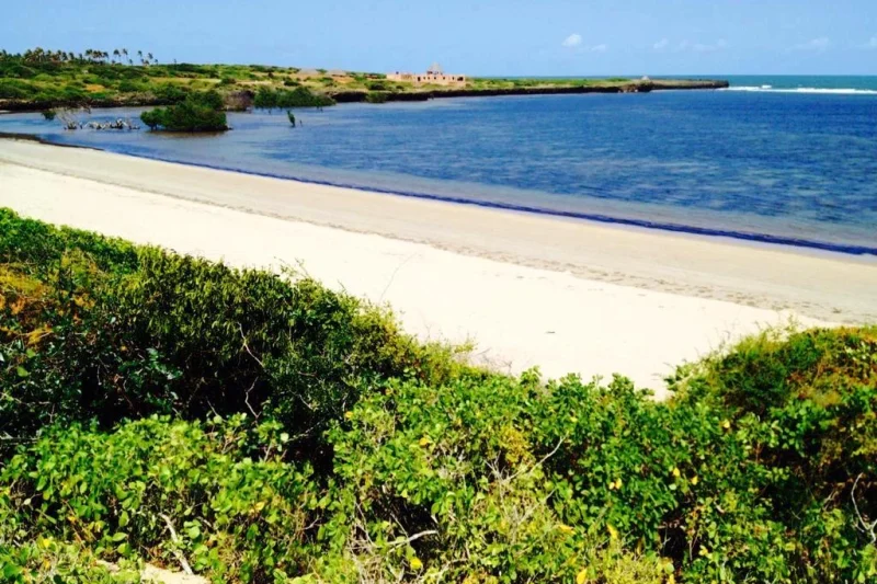 10-Acre Beachfront Land