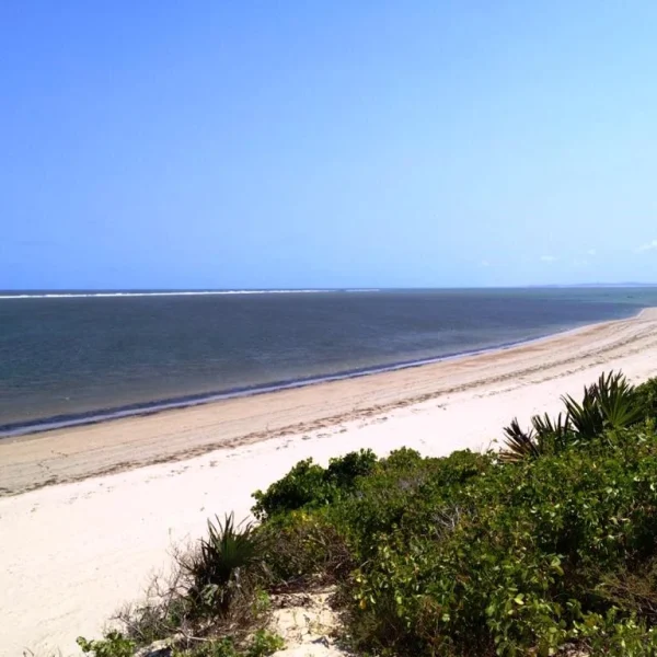 10-Acre Beachfront Land — additional photo