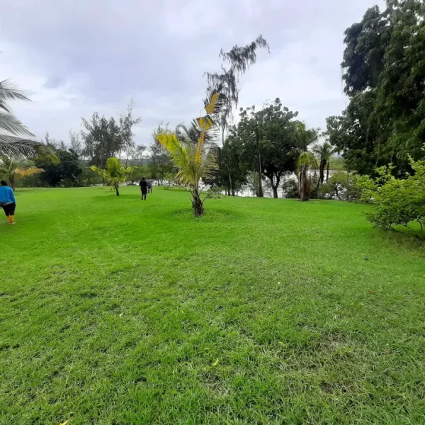 Strategic 9.7-Acre Creekfront Land — additional photo