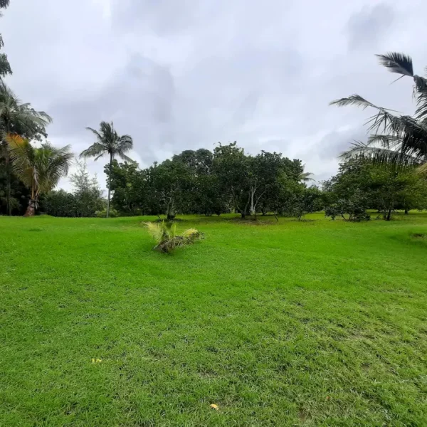 Strategic 9.7-Acre Creekfront Land — additional photo