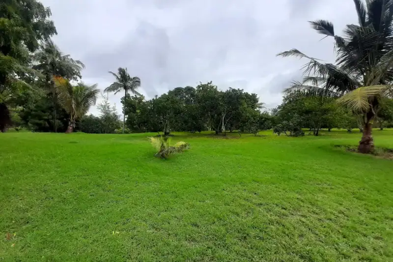 Strategic 9.7-Acre Creekfront Land — property listing, Kenya