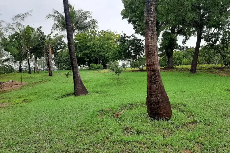 Strategic 9.7-Acre Creekfront Land — property listing, Kenya