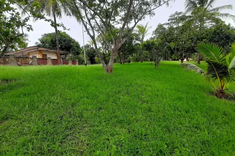 Strategic 9.7-Acre Creekfront Land
