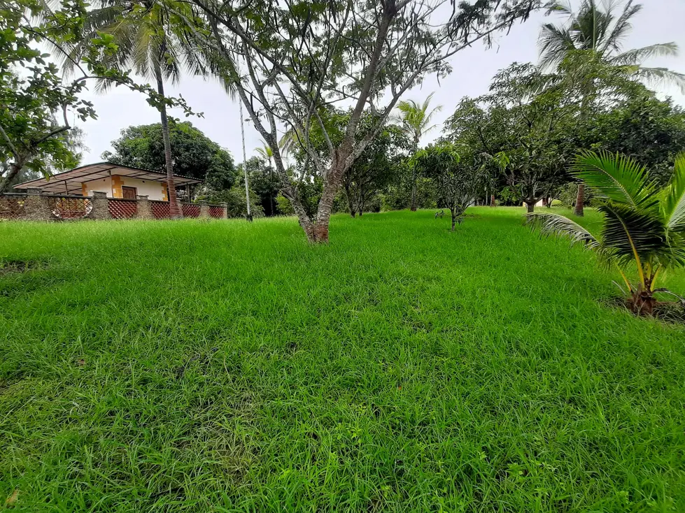 Strategic 9.7-Acre Creekfront Land