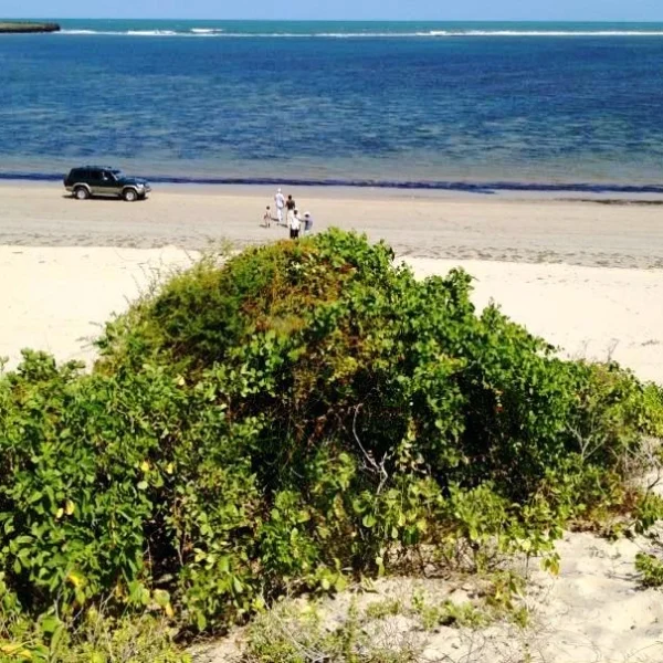 10-Acre Beachfront Land — additional photo
