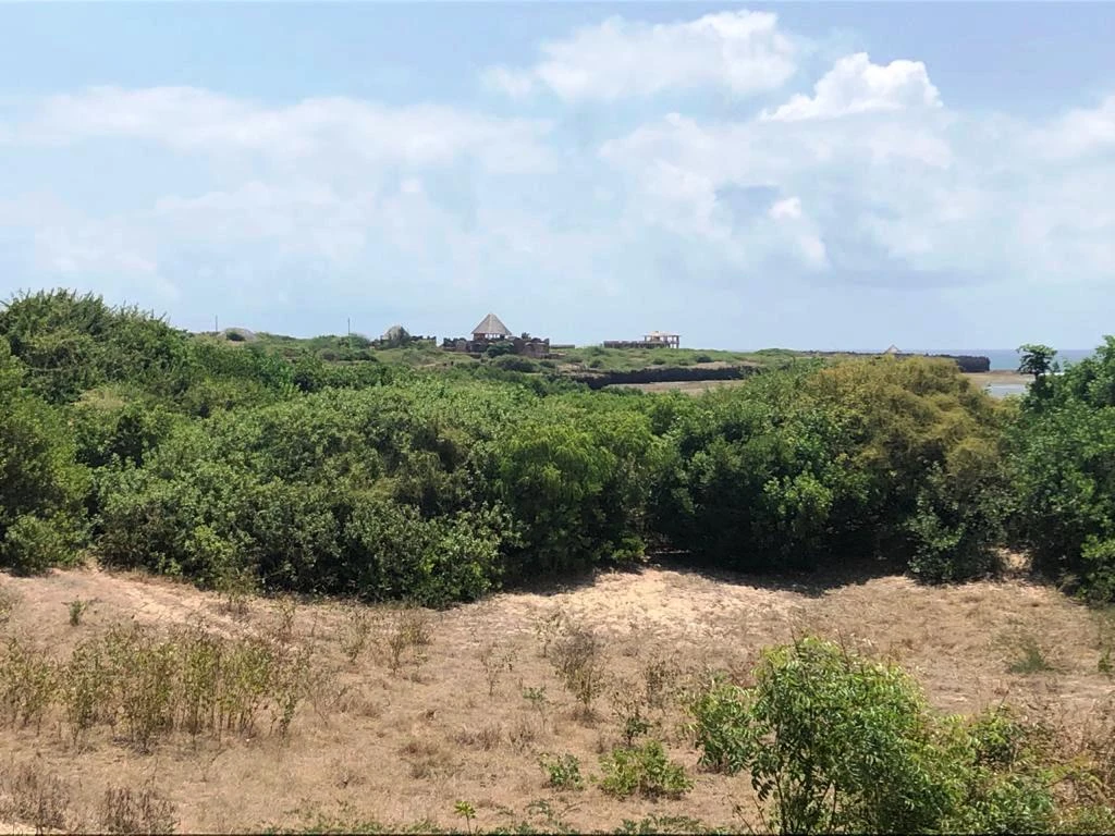 10-Acre Beachfront Land – Ngomeni, Malindi – photo 3